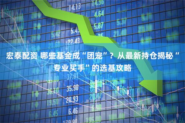 宏泰配资 哪些基金成“团宠”？从最新持仓揭秘“专业买手”的选基攻略